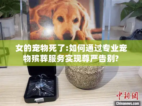 女的宠物死了:如何通过专业宠物殡葬服务实现尊严告别?