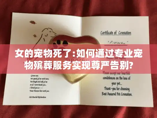 女的宠物死了:如何通过专业宠物殡葬服务实现尊严告别?