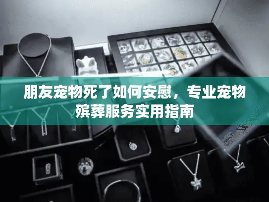 朋友宠物死了如何安慰，专业宠物殡葬服务实用指南