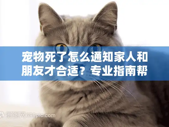 宠物死了怎么通知家人和朋友才合适？专业指南帮你减轻心理负担