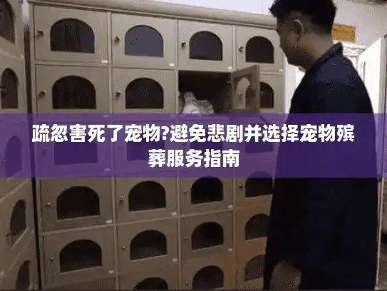 疏忽害死了宠物?避免悲剧并选择宠物殡葬服务指南