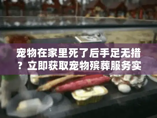 宠物在家里死了后手足无措？立即获取宠物殡葬服务实用指南！