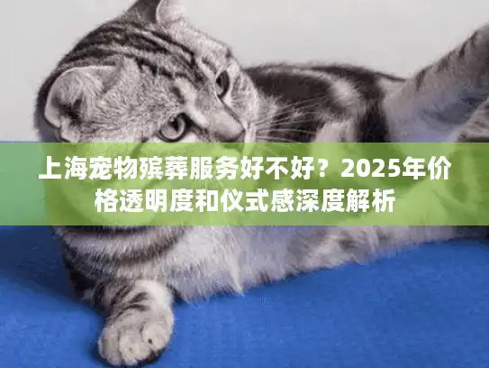 上海宠物殡葬服务好不好？2025年价格透明度和仪式感深度解析