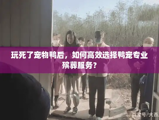 玩死了宠物鸭后，如何高效选择鸭宠专业殡葬服务？