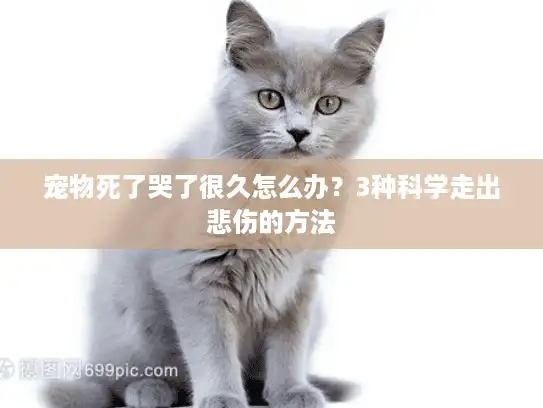 宠物死了哭了很久怎么办？3种科学走出悲伤的方法