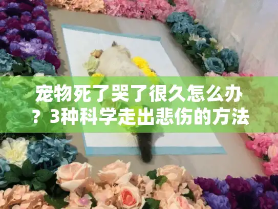 宠物死了哭了很久怎么办？3种科学走出悲伤的方法