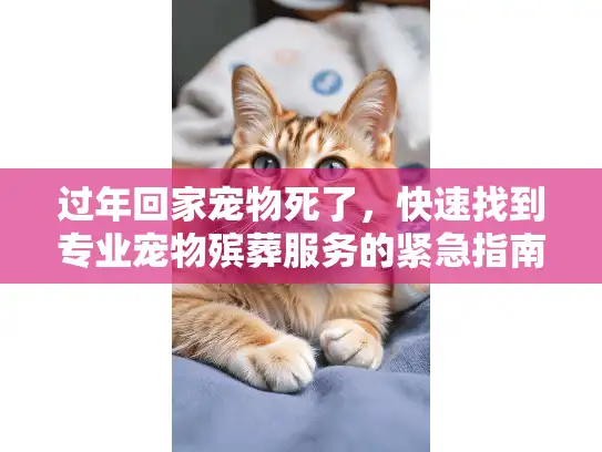 过年回家宠物死了，快速找到专业宠物殡葬服务的紧急指南