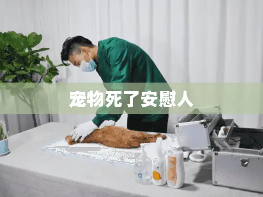 宠物死了安慰人