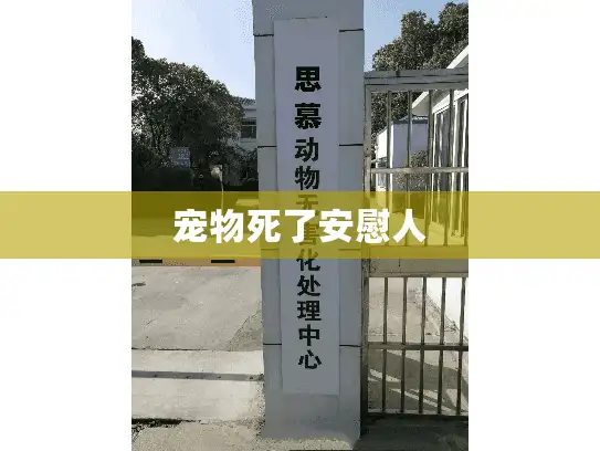 宠物死了安慰人