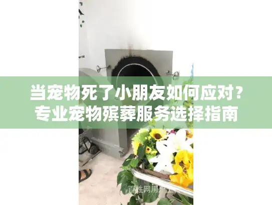 当宠物死了小朋友如何应对？专业宠物殡葬服务选择指南