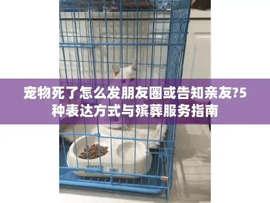 宠物死了怎么发朋友圈或告知亲友?5种表达方式与殡葬服务指南