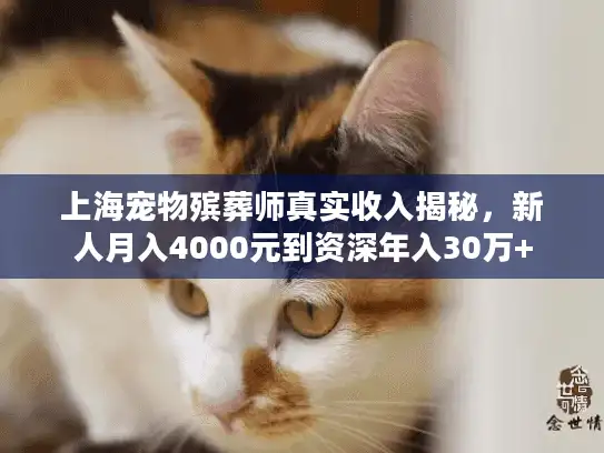 上海宠物殡葬师真实收入揭秘，新人月入4000元到资深年入30万+