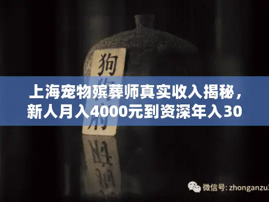 上海宠物殡葬师真实收入揭秘，新人月入4000元到资深年入30万+