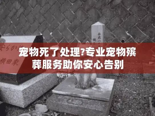 宠物死了处理?专业宠物殡葬服务助你安心告别
