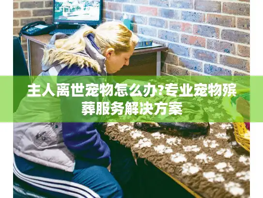 主人离世宠物怎么办?专业宠物殡葬服务解决方案