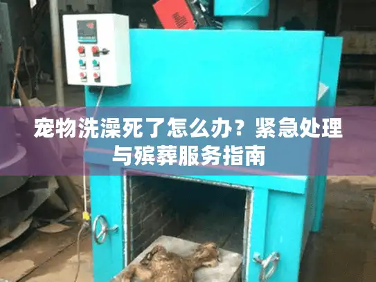 宠物洗澡死了怎么办？紧急处理与殡葬服务指南