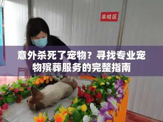 意外杀死了宠物？寻找专业宠物殡葬服务的完整指南