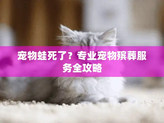 宠物蛙死了？专业宠物殡葬服务全攻略