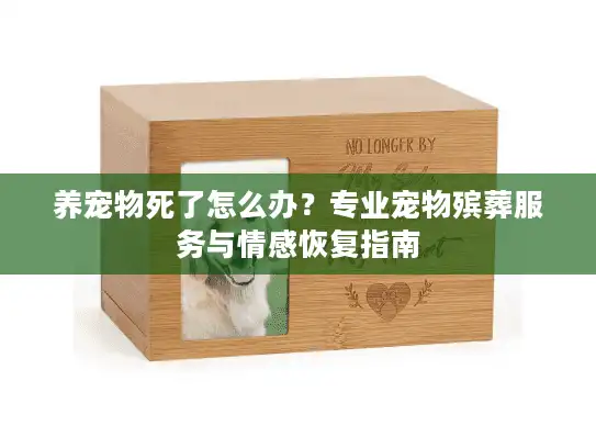 养宠物死了怎么办？专业宠物殡葬服务与情感恢复指南