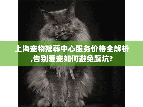 上海宠物殡葬中心服务价格全解析,告别爱宠如何避免踩坑?