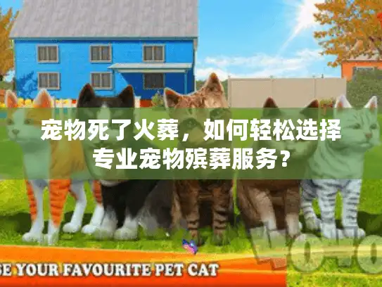 宠物死了火葬，如何轻松选择专业宠物殡葬服务？