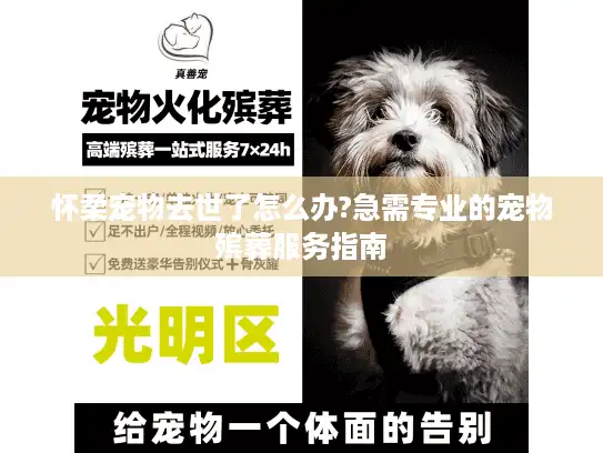怀柔宠物去世了怎么办?急需专业的宠物殡葬服务指南
