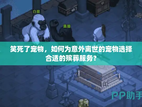 笑死了宠物，如何为意外离世的宠物选择合适的殡葬服务？