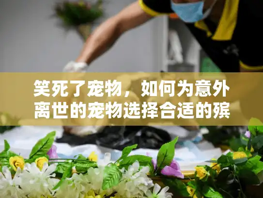 笑死了宠物，如何为意外离世的宠物选择合适的殡葬服务？