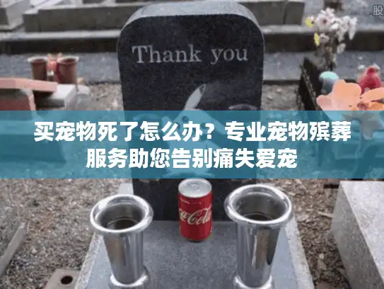 买宠物死了怎么办？专业宠物殡葬服务助您告别痛失爱宠