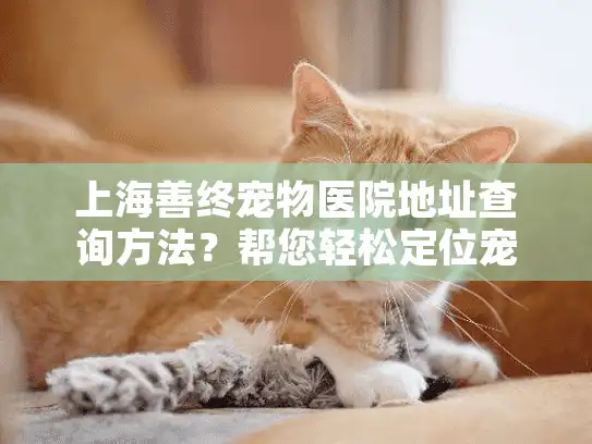 上海善终宠物医院地址查询方法？帮您轻松定位宠物善后服务