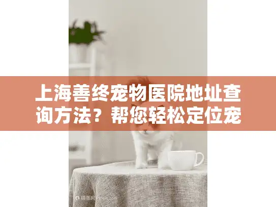 上海善终宠物医院地址查询方法？帮您轻松定位宠物善后服务