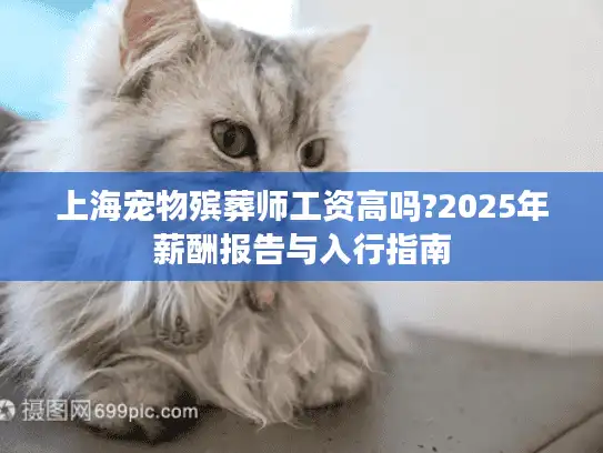上海宠物殡葬师工资高吗?2025年薪酬报告与入行指南