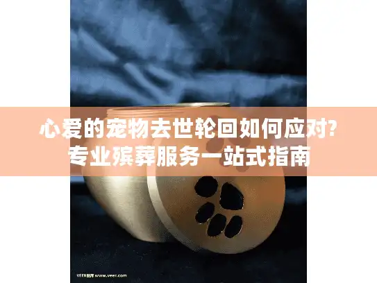 心爱的宠物去世轮回如何应对?专业殡葬服务一站式指南