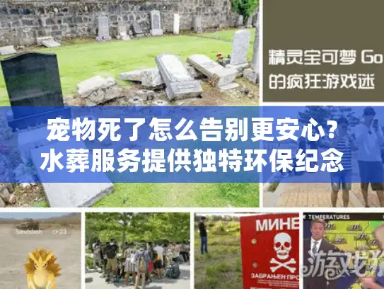 宠物死了怎么告别更安心?水葬服务提供独特环保纪念方式