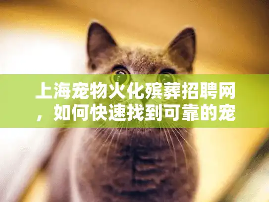 上海宠物火化殡葬招聘网，如何快速找到可靠的宠物殡葬职位？