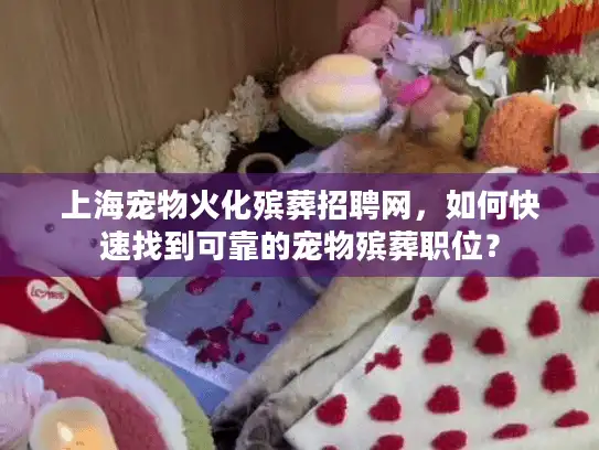 上海宠物火化殡葬招聘网，如何快速找到可靠的宠物殡葬职位？