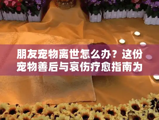 朋友宠物离世怎么办？这份宠物善后与哀伤疗愈指南为你指路