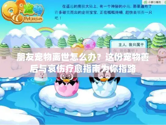 朋友宠物离世怎么办？这份宠物善后与哀伤疗愈指南为你指路