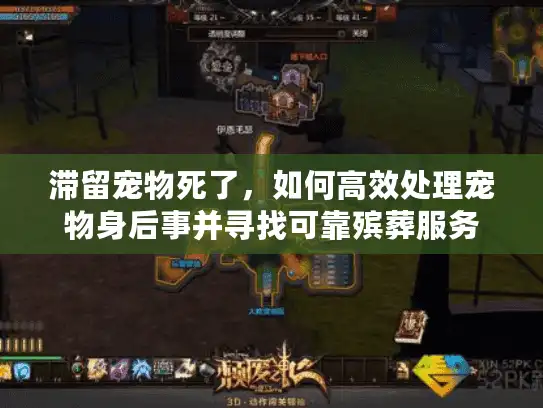 滞留宠物死了，如何高效处理宠物身后事并寻找可靠殡葬服务