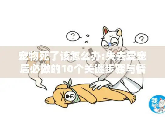 宠物死了该怎么办:失去爱宠后必做的10个关键步骤与情绪疏导指南