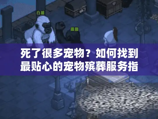 死了很多宠物？如何找到最贴心的宠物殡葬服务指南