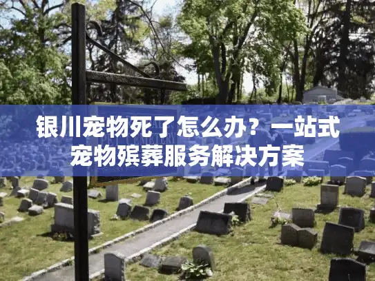 银川宠物死了怎么办？一站式宠物殡葬服务解决方案