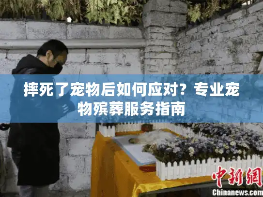 摔死了宠物后如何应对？专业宠物殡葬服务指南