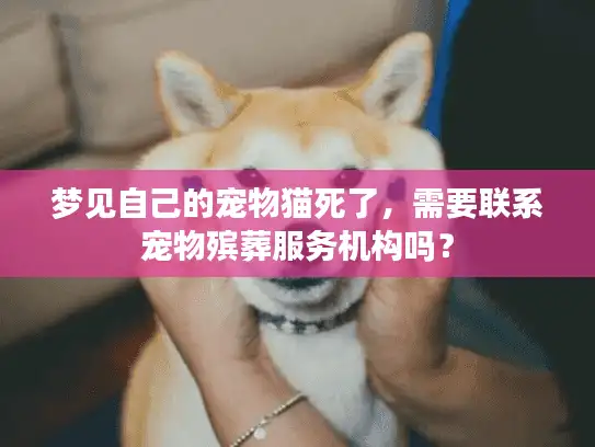 梦见自己的宠物猫死了，需要联系宠物殡葬服务机构吗？