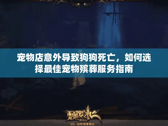 宠物店意外导致狗狗死亡，如何选择最佳宠物殡葬服务指南