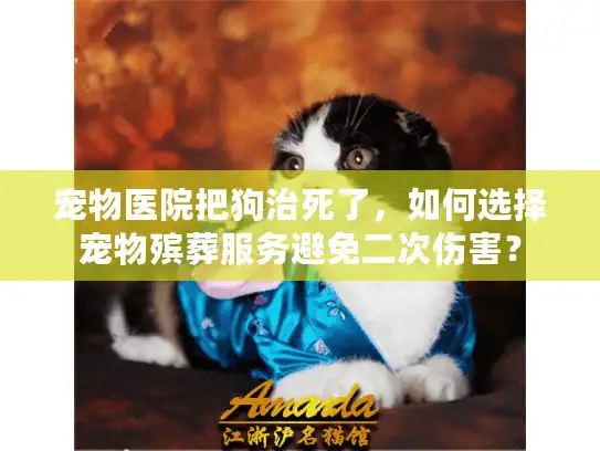 宠物医院把狗治死了，如何选择宠物殡葬服务避免二次伤害？