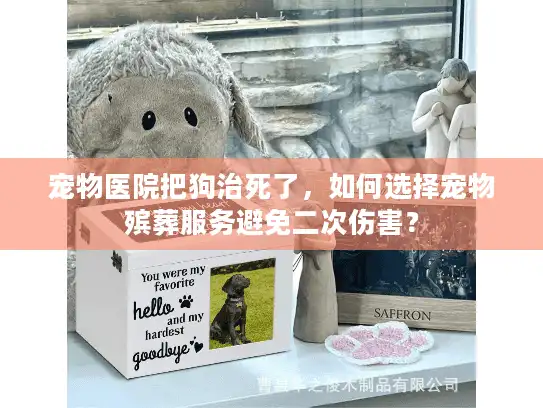宠物医院把狗治死了，如何选择宠物殡葬服务避免二次伤害？