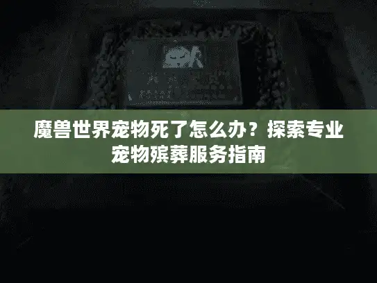 魔兽世界宠物死了怎么办？探索专业宠物殡葬服务指南