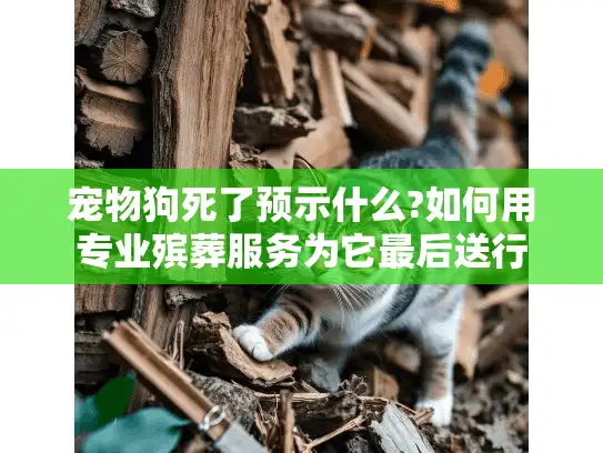 宠物狗死了预示什么?如何用专业殡葬服务为它最后送行
