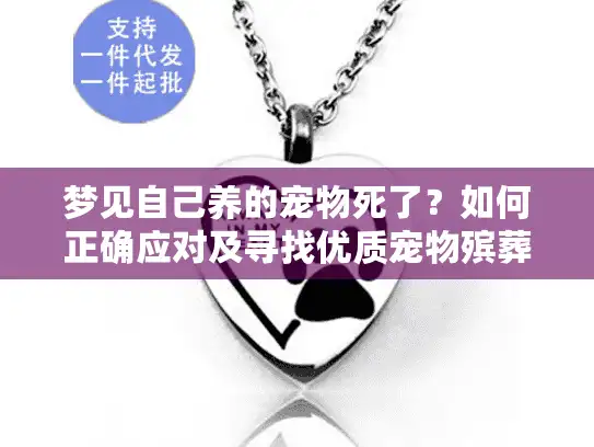 梦见自己养的宠物死了？如何正确应对及寻找优质宠物殡葬服务